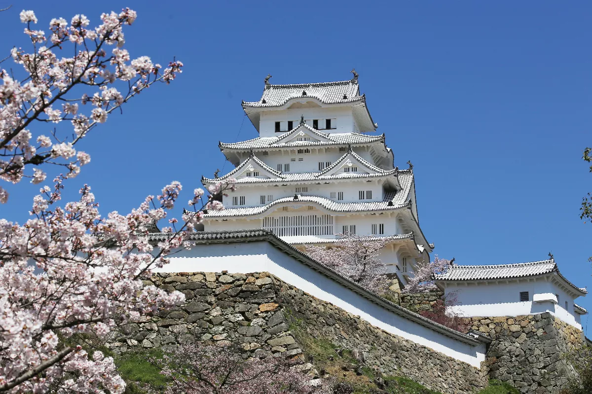 日本姬路城門票擬採雙軌制 2026年外國人票價恐貴2至3倍